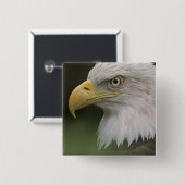 アダルトバルドイーグルポートレートハリアエータス 缶バッジ (正面&裏面)