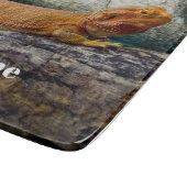 アダルトヒゲ竜トカゲ カッティングボード (角)