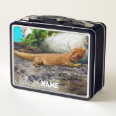 アダルトヒゲ竜トカゲ メタルランチボックス (裏面)