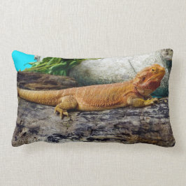 アダルトヒゲ竜トカゲ ランバークッション