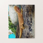 アダルトビード・ドラゴン・リザード ジグソーパズル (縦)