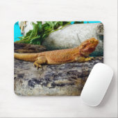 アダルトビード・ドラゴン・リザード マウスパッド (マウス)