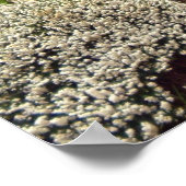 アダレゲートコテージプリント又はポスター ポスター (角)