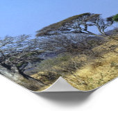 アダンソニアのレインボーとアフリカのバオバブ ポスター (角)