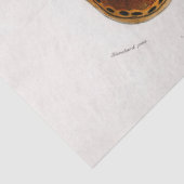 アチコガ 薄葉紙 (詳細)