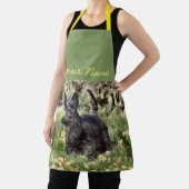 アチ エプロン (インサイチュ)