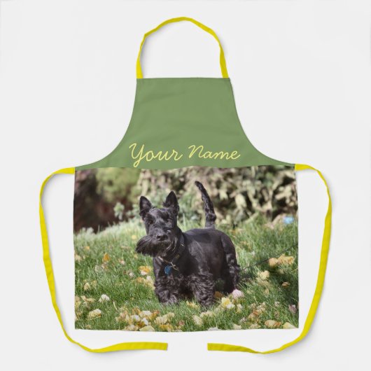 アチ エプロン (正面)