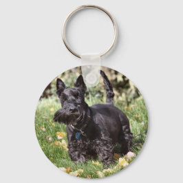 アチ キーホルダー