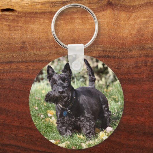 アチ キーホルダー (正面)