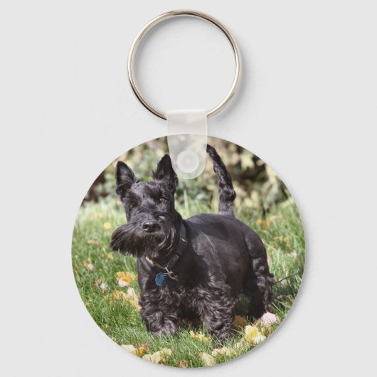 アチ キーホルダー (裏面)