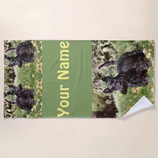 アチ ビーチタオル (正面)