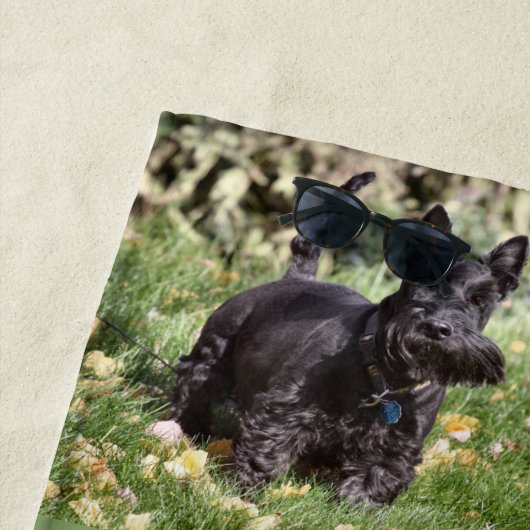 アチ ビーチタオル (インサイチュ)