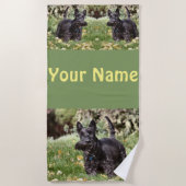 アチ ビーチタオル (正面)