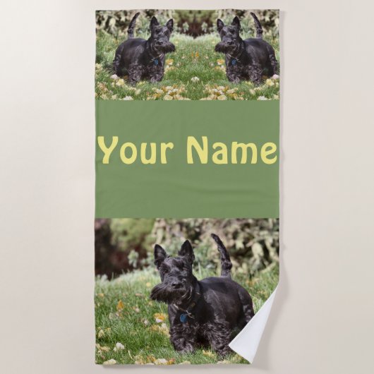 アチ ビーチタオル (正面)