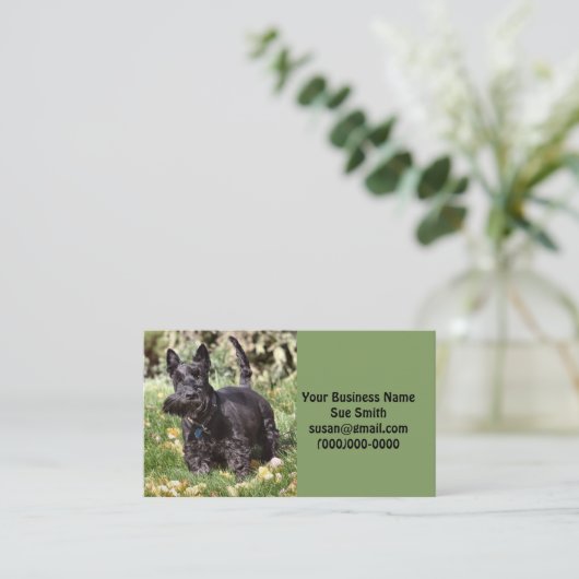 アチ 名刺 (スタンド正面)