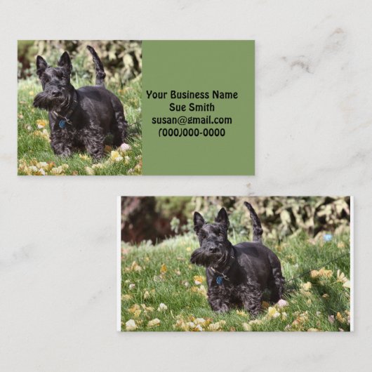 アチ 名刺 (正面/裏面)