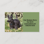 アチ 名刺 (正面)