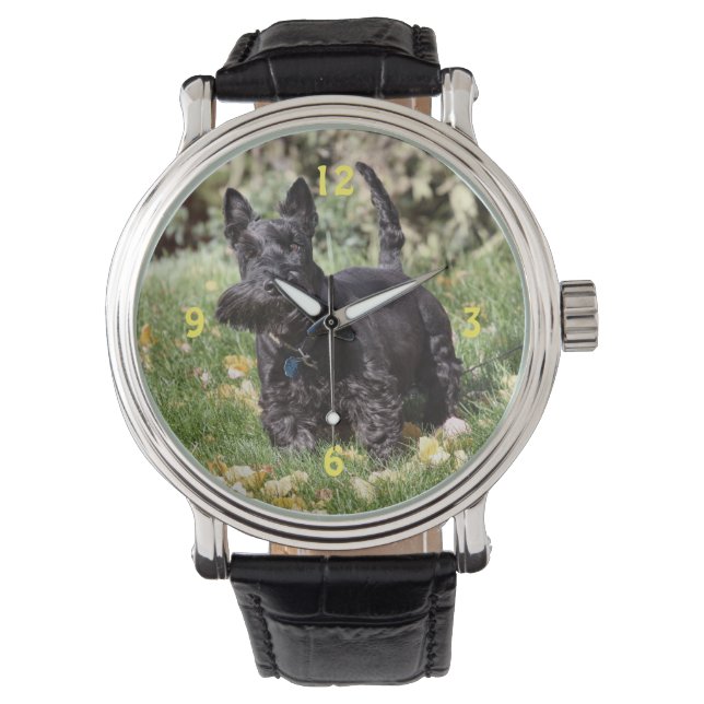 アチ 腕時計 (正面)