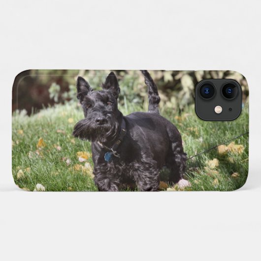 アチ Case-Mate iPhoneケース (裏面(横))