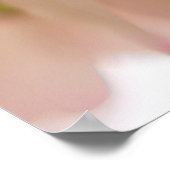 アッシジの聖フランシス平和祈りの言葉ポスター ポスター (角)