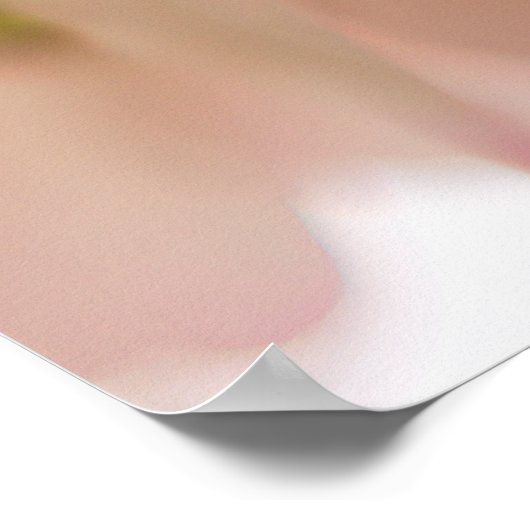 アッシジの聖フランシス平和祈りの言葉ポスター ポスター (角)