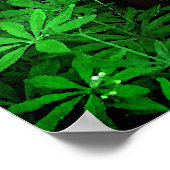 アッシジの聖フランシス ポスター (角)