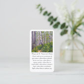 アッシジの聖フランチェスコ 慰霊祈祷カード 名刺 (スタンド正面)