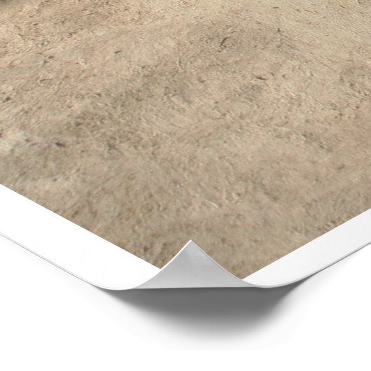 アッシジ教会3世の聖フランシス ポスター (角)