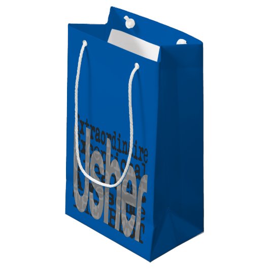 アッシャー並外れた スモールペーパーバッグ (正面アングル)