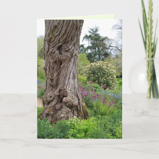 アッシュツリーテクスチャード樹皮パターンHidcote Garden カード (正面)