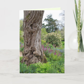 アッシュツリーテクスチャード樹皮パターンHidcote Garden カード