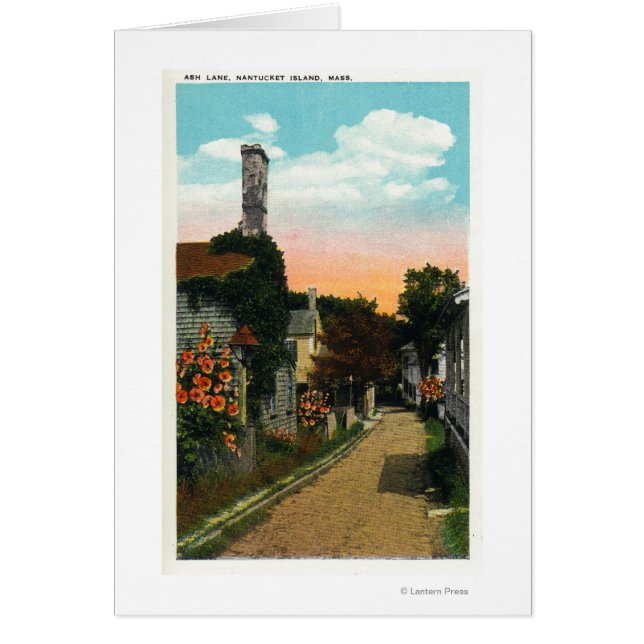 アッシュレーンの表示 (正面)