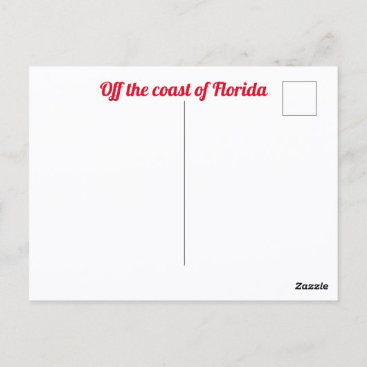 アット失ったシーフロリダビーチ写真おもしろい写真 ポストカード (裏面)