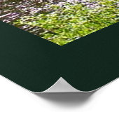 アッパタフカメノン秋州パーク、MI ポスター (角)