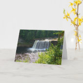 アッパタフクアメノン秋州パークミ誕生日 カード (黄色い花)