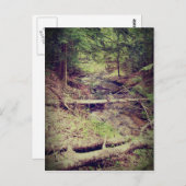 アッパーペニンシュラクリーク ポストカード (正面/裏面)