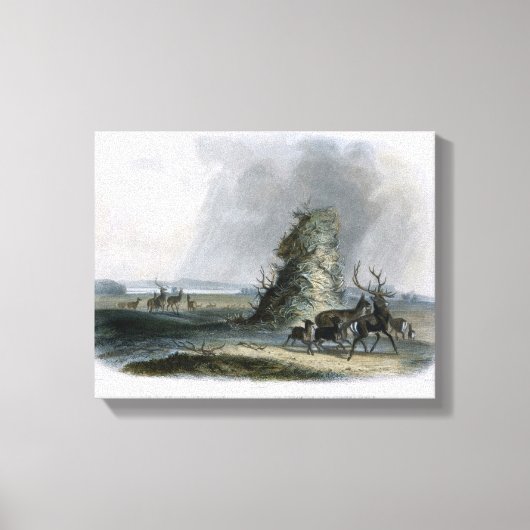 アッパーミズーリのエルクホルン・ピラミッド、プレート2 キャンバスプリント (正面)