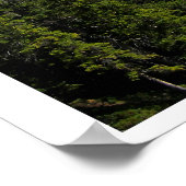 アッパー・カナナスキス湖のポスター ポスター (角)