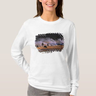 アッパー・ガイザー・ベースンのアメリカバイソン Tシャツ