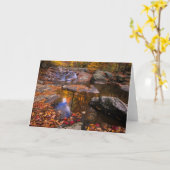 アッパー・ホワイトオーク秋、シェナンドア国立公園(VA) カード (黄色い花)