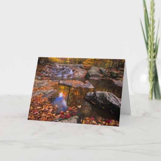 アッパー・ホワイトオーク秋、シェナンドア国立公園(VA) カード (正面)