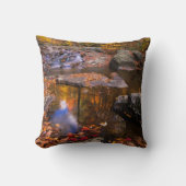 アッパー・ホワイトオーク秋、シェナンドア国立公園(VA) クッション (正面)