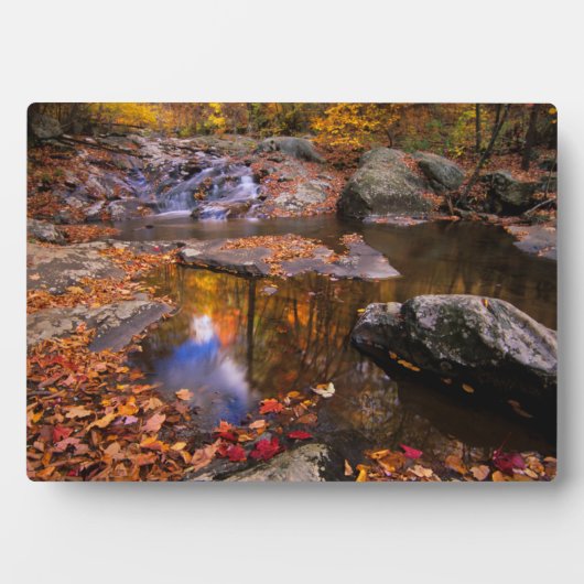 アッパー・ホワイトオーク秋、シェナンドア国立公園(VA) フォトプラーク (正面)