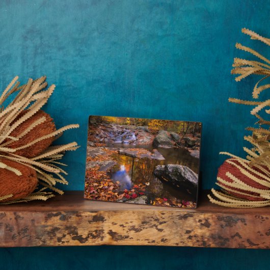 アッパー・ホワイトオーク秋、シェナンドア国立公園(VA) フォトプラーク (側面)