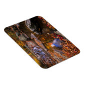 アッパー・ホワイトオーク秋、シェナンドア国立公園(VA) マグネット (右側)