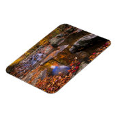 アッパー・ホワイトオーク秋、シェナンドア国立公園(VA) マグネット (左側)