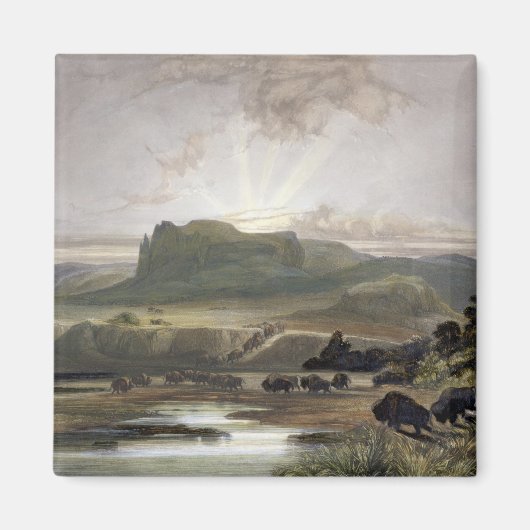 アッパー・ミズーリのバイソンの群れ、プレート40から マグネット (正面)