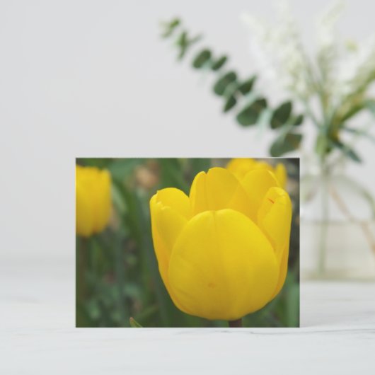 アップとパーソナル ポストカード (スタンド正面)