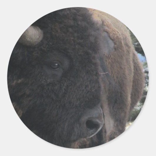 アップとパーソナル ラウンドシール (正面)