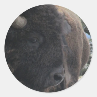 アップとパーソナル ラウンドシール